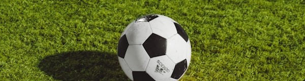 慕尼黑安联球场夜晚灯光璀璨的3D缩略图